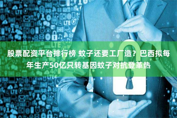 股票配资平台排行榜 蚊子还要工厂造？巴西拟每年生产50亿只转基因蚊子对抗登革热
