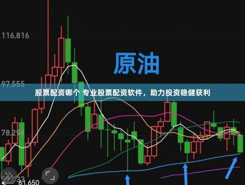 股票配资哪个 专业股票配资软件，助力投资稳健获利
