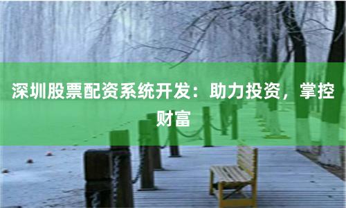 深圳股票配资系统开发：助力投资，掌控财富