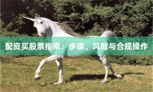 配资买股票指南：步骤、风险与合规操作